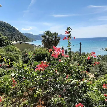 Andromaches Superior Double Apartmán Benitses (Corfu)